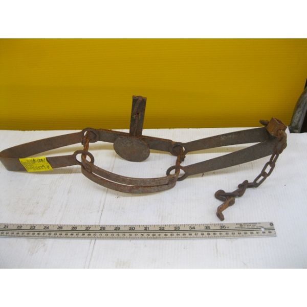 LG. DUAL SPRING TRAP