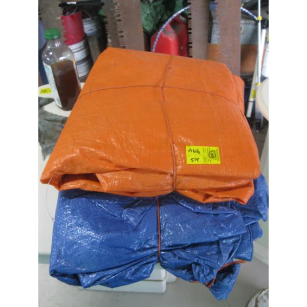2 TARPS