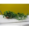 Image 3 : DECORATIVE ARTIFICIAL PLANTS