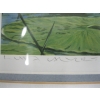 Image 3 : NUMBERED FRAMED PRINT OF THE LOON & CHICKS