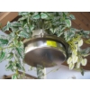Image 3 : LG. HANGING SCALE W/ARTIFICIAL PLANT