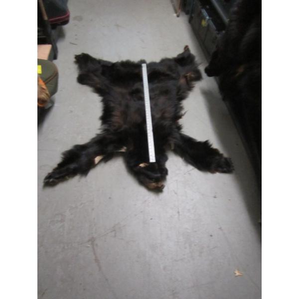 TANNED BLACK BEAR HIDE