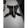 Image 1 : TANNED BLACK BEAR HIDE