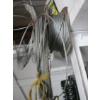 Image 2 : ASST. CABLE