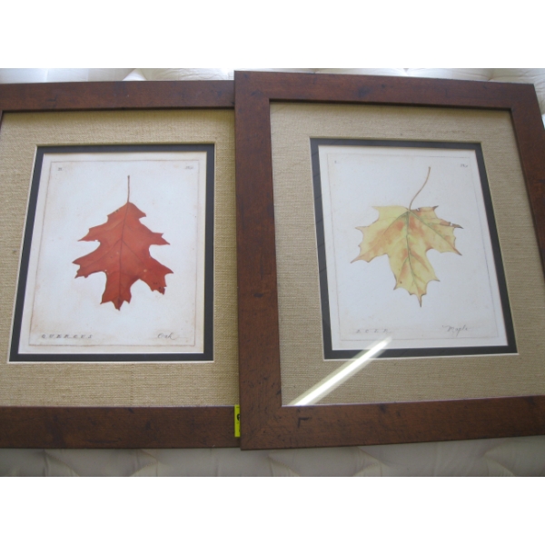 2 PICTURES OF OAK LEAF & MAPLE LEAF