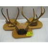 Image 1 : 3 SETS OF SMALL ANTLERS