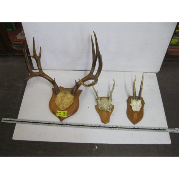 3 SETS OF DEER HORNS ON PLAQUES