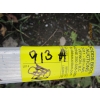 Image 3 : 20' ALUMINUM EXTENSION LADDER