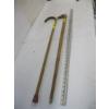 Image 2 : 2 CANES