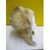 Image 2 : FOX HAT