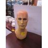 Image 1 : DISPLAY HEAD