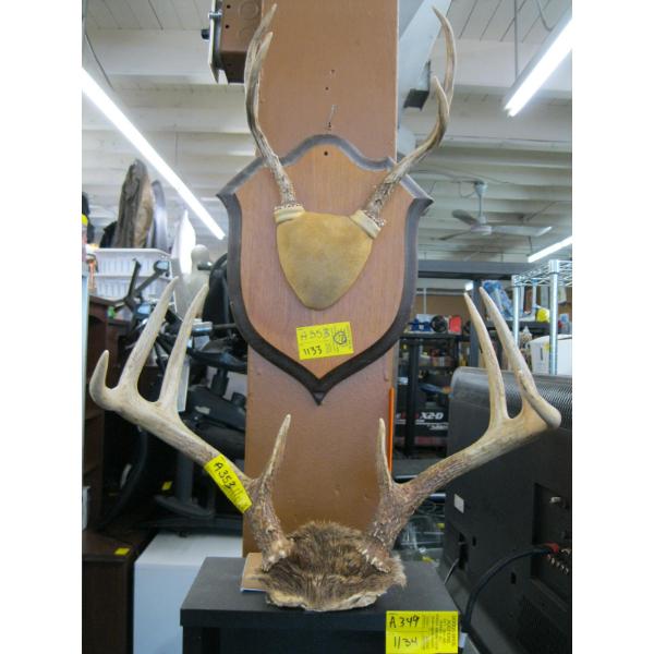 2 SETS OF DEER HORNS