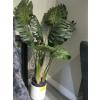 Image 1 : ARTIFICIAL PLANT