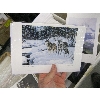 Image 2 : 3 BOXES OF NEW GREETING CARDS