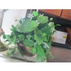 Image 4 : GOLD PLANT STAND W/CONTENTS