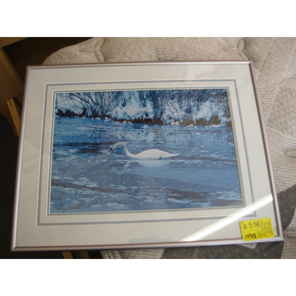 FRAMED PRINT OF THE SWAN