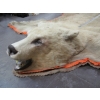 Image 3 : TANNED BROWN BEAR HIDE W/HEAD MOUNT
