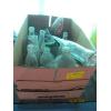 Image 1 : COLLECTABLE BOTTLES