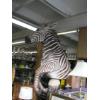 Image 1 : MOUNTED ZEBRA ON CARVED STAND
