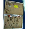 Image 1 : ASST. FLIES