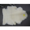Image 1 : 1 SHEEPSKIN