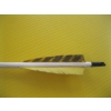 Image 4 : BIN W/ASST. ALUMINUM & WOOD ARROWS, ETC.