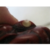 Image 2 : 3 SM. FIGURINES