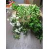 Image 2 : ARTIFICIAL PLANTS
