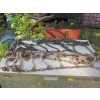 Image 1 : 2 SETS OF TRUCK TIRE CHAINS