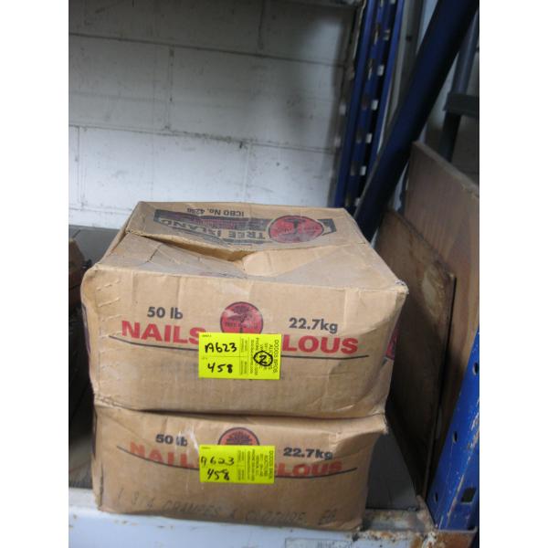 2 BOXES OF NAILS