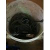 Image 3 : ASST. FLAGGING TAPE, BUNGEE CORDS, ETC.