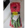 Image 1 : 6 PAIR OF SZ 9 GLOVES