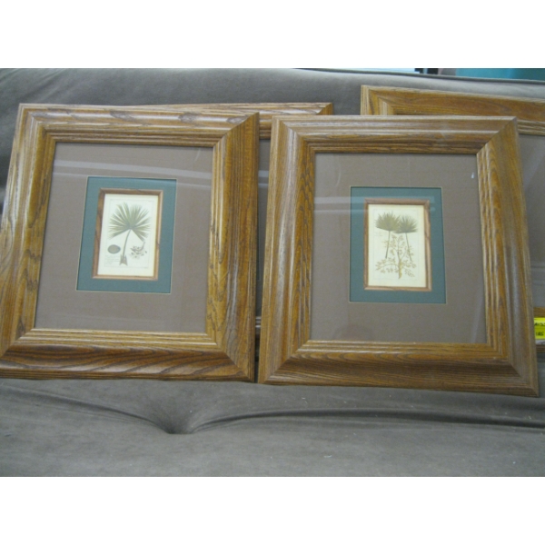 4 PRINTS OF HERBS, MEDICINAL PLANTS IN OAK FRAMES