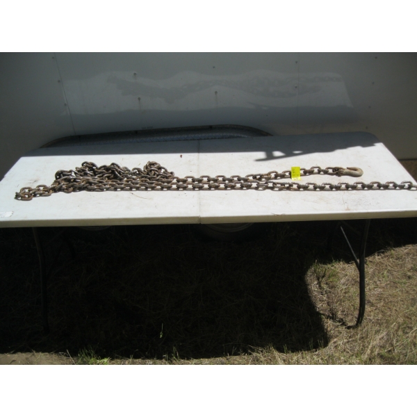 12FT CHAIN W/ HOOKS