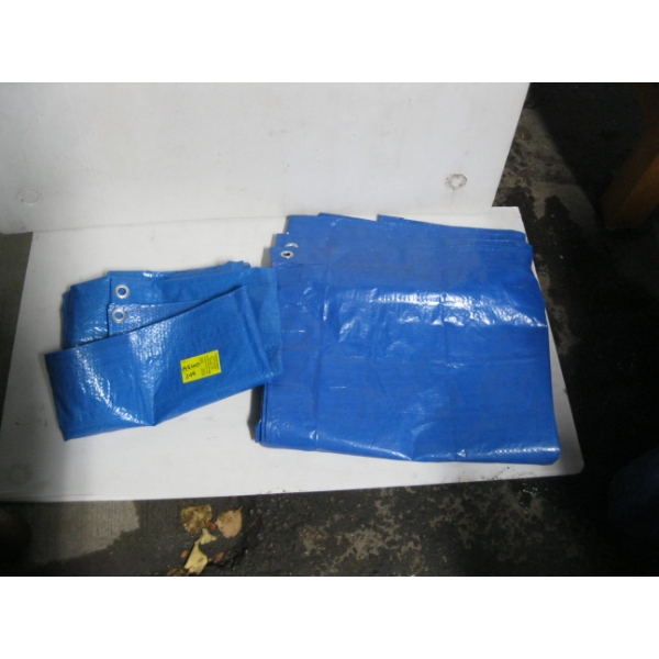 2 BLUE TARPS