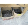 Image 3 : 5 CONTAINERS OF ASST. NAILS