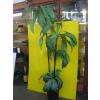 Image 2 : 2 TALL ARTIFICIAL PLANTS