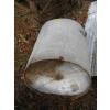 Image 3 : GALVANIZED SUPER SPINNER FOR BEEKEEPING