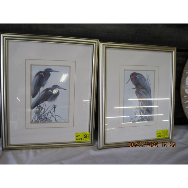 PAIR OF FRAMED PRINTS OF BIRDS
