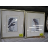 Image 1 : PAIR OF FRAMED PRINTS OF BIRDS
