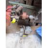 Image 1 : HOME LIGHT WATER PUMP & A SM. GAS WATER PUMP