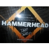 Image 3 : HAMMERHEAD CARBON SURFBOARD