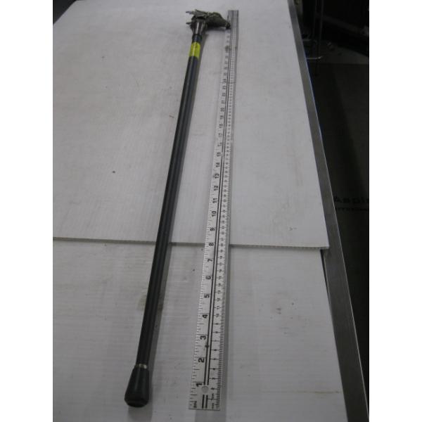 DRAGON HEAD SWORD CANE