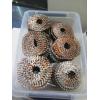 Image 4 : 2 BINS OF COIL NAILS