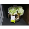 Image 1 : VASE W/ARTIFICIAL FLOWERS