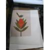 Image 5 : 7 FRAMED PICTURES