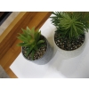 Image 2 : 4 PIECES OF DÉCOR