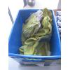 Image 2 : LG. LOT OF CLEANERS
