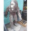 Image 1 : SASQUATCH