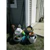 Image 1 : MISC. GARDENING ITEMS: POTS, STAKES, ETC.